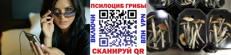 ссылка на мегу зеркало Назарово Псилоцибиновые грибы мухоморы где продают