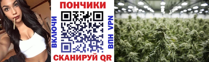 Конопля Amnesia  Назарово 